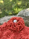 IMG_7521Cx3DRR.webp
